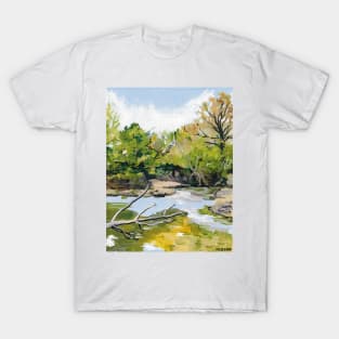 Clear Waters, Creek Acrylic #3 T-Shirt